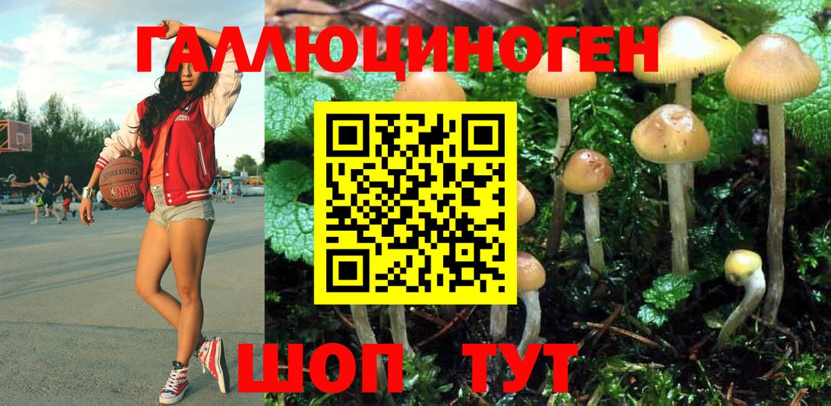 Псилоцибиновые грибы Psilocybe  Вход с VPN  Лиски 