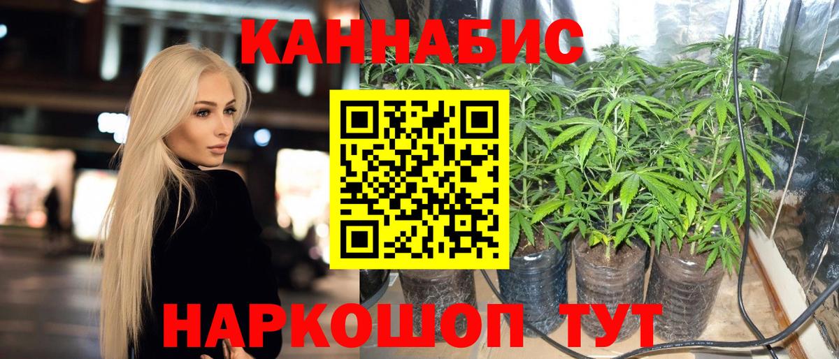 Каннабис OG Kush  Бошки марихуана тримм  Лиски  Вход с VPN  Бошки Шишки MAZAR 